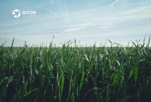 How a market leader in agricultural seeds is amplifying global distribution with Bizom